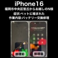 iPhone16 画面交換修理 福岡市中央区笹丘からお越しのN様